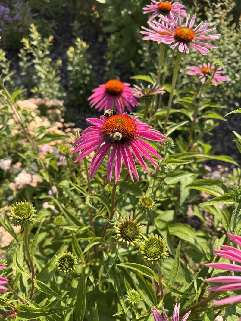 Hold Back On Heavy Fertilizer In Early Spring