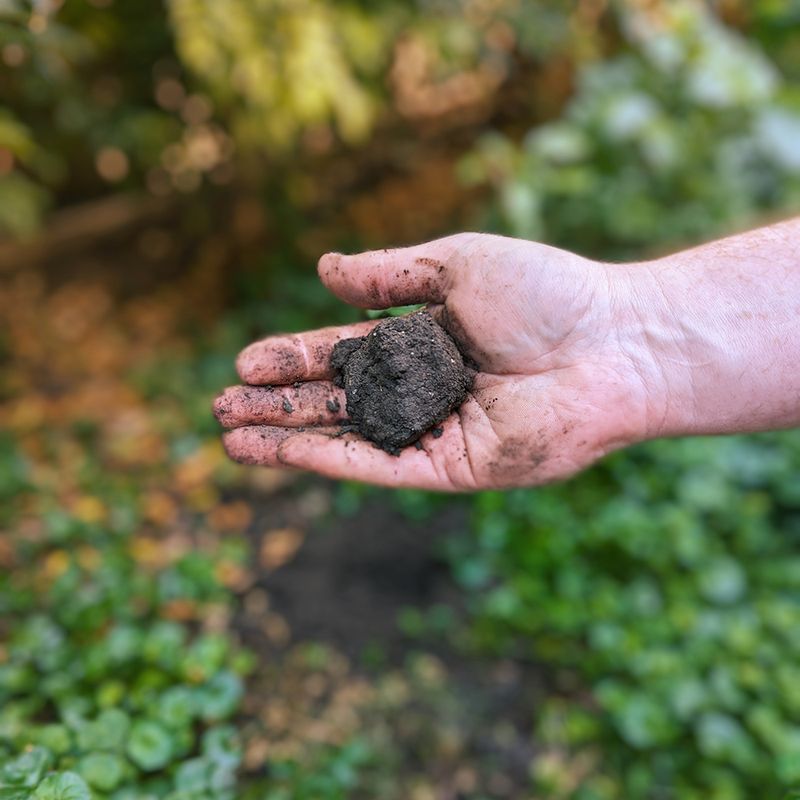 Avoid Working Wet Soil To Prevent Hard Compaction Problems