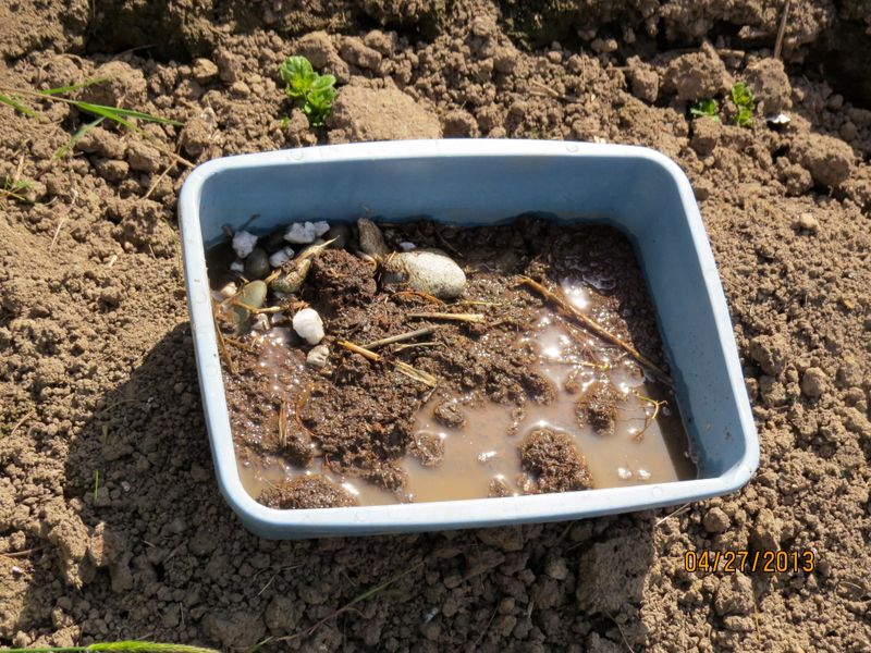 Provide A Mud Source