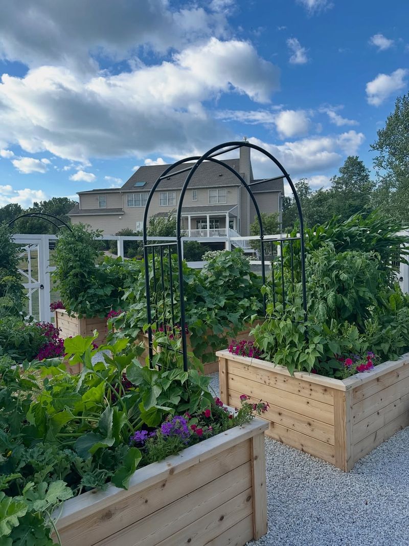 Build Simple Trellises For Climbing Spring Vegetables