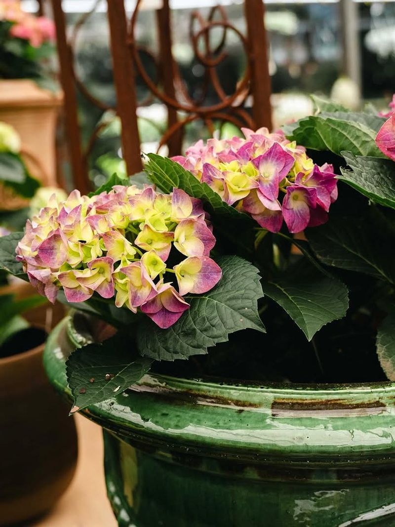 Adjust Soil Gradually