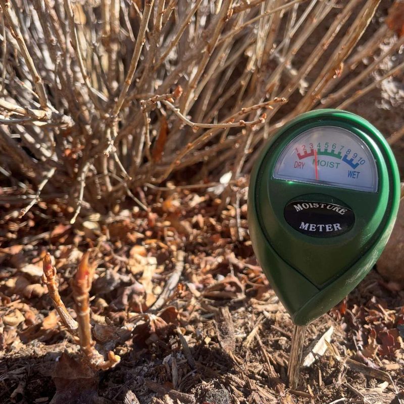 Check Soil Before Watering To Avoid Overwatering