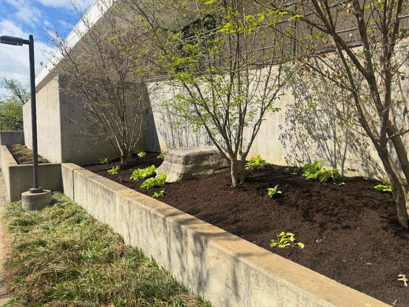 Refresh Mulch To Hold Moisture And Suppress Weeds