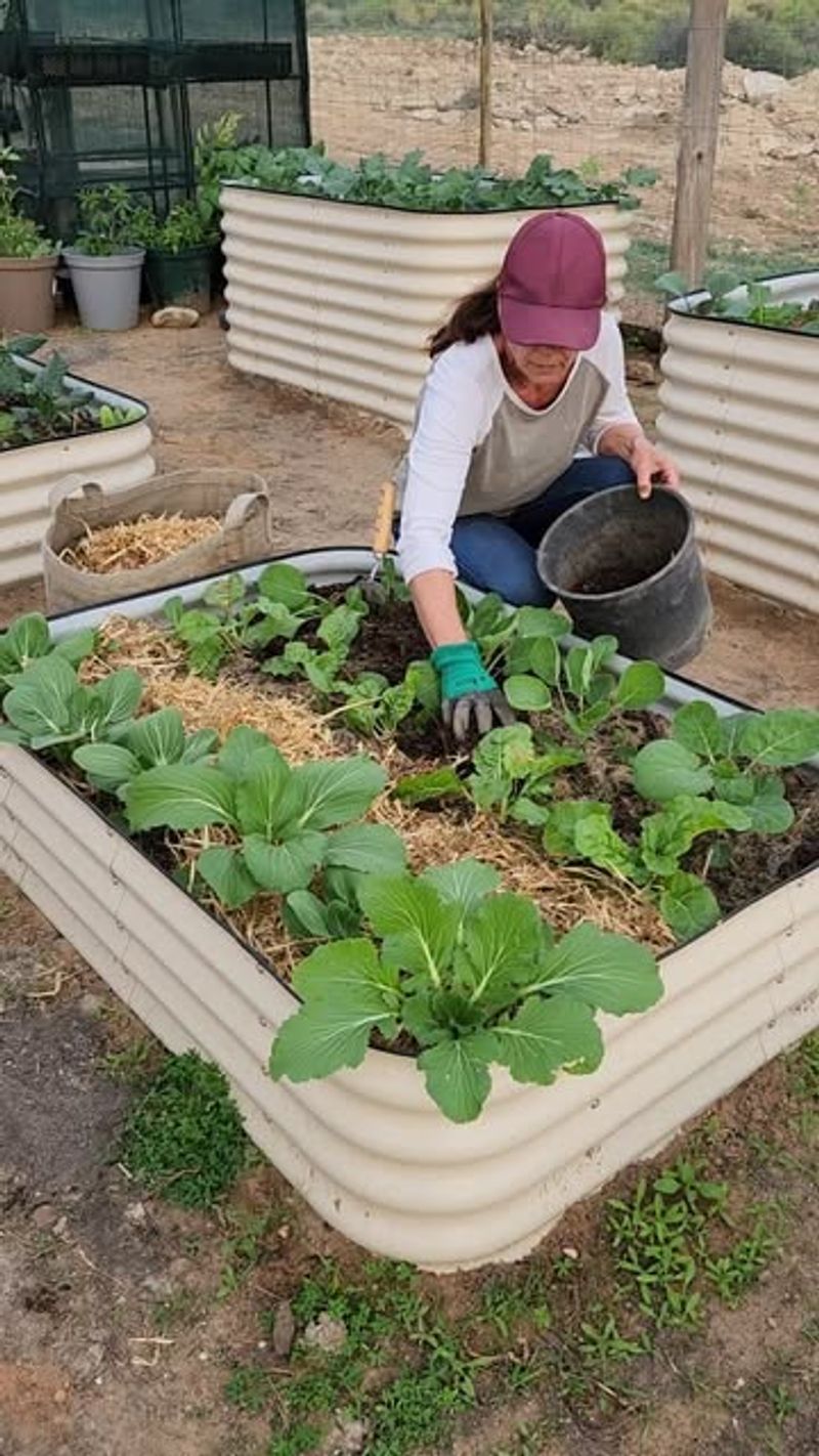 Use Mulch Carefully In Early Spring