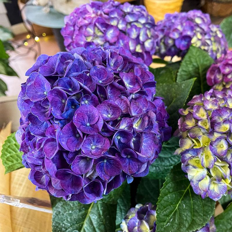 Maintain Consistent Moisture