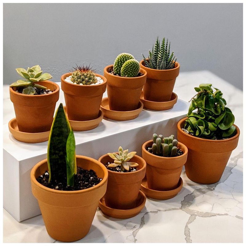 Choose Pots That Help The Mix Dry Evenly