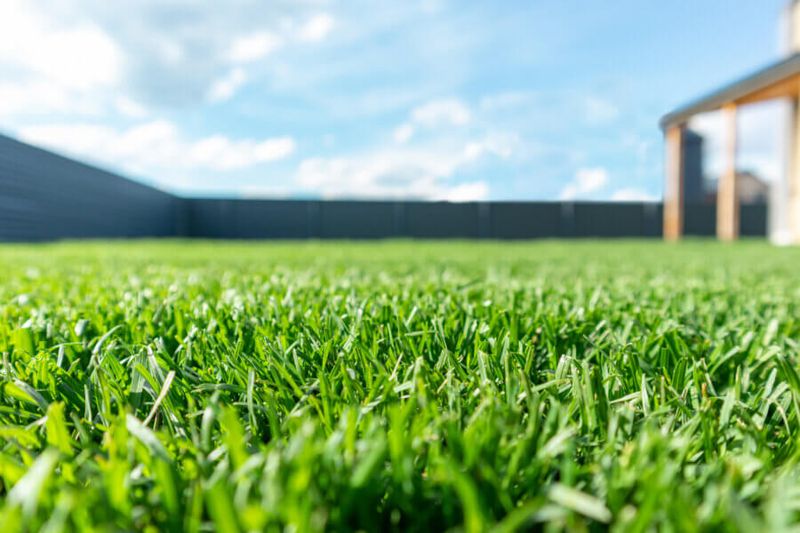 Set Your Lawn Up Now For A Greener Less Stressed Summer