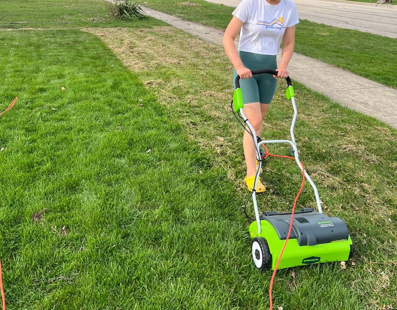 Choose The Right Time Of Year For Each Grass Type