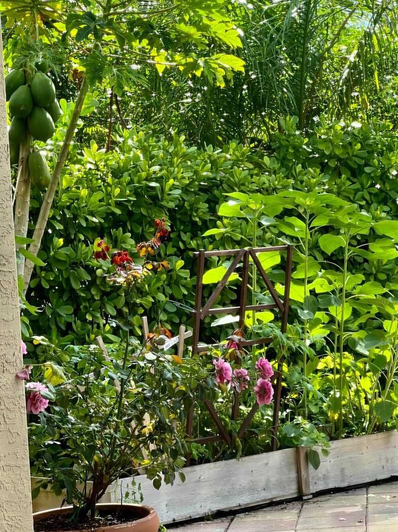 Adjust By Region Across Florida's Growing Zones