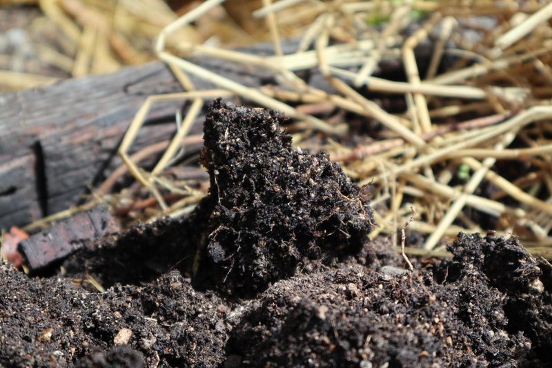 Maintaining Long-Term Soil Health