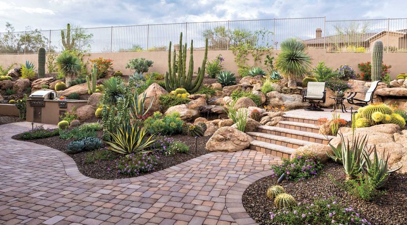 What Xeriscaping Really Means In Arizona