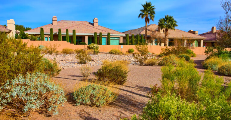 Arizona Gardeners’ Beginner’s Guide To Xeriscaping For A Stunning Low-Water Yard