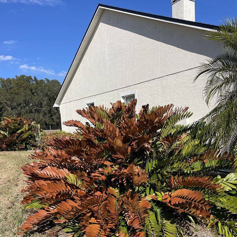 Wait For New Growth To Reveal What Truly Needs Trimming