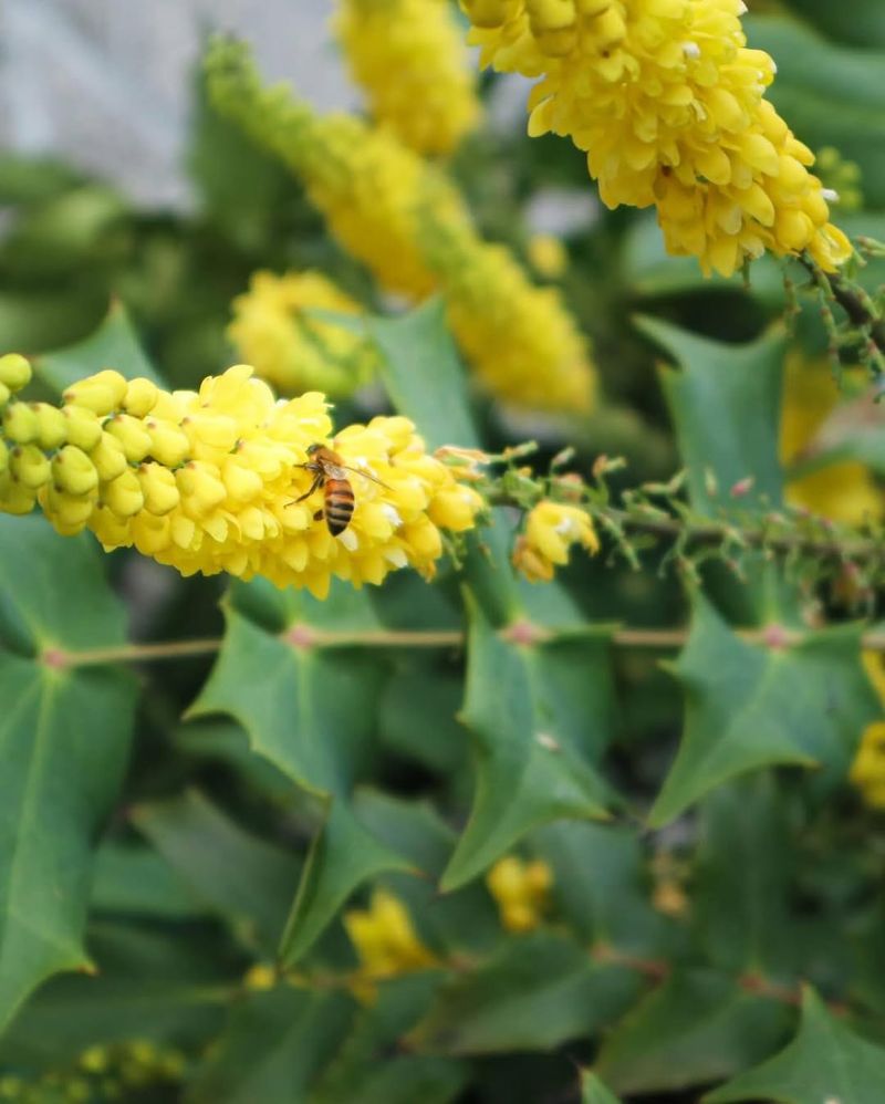 Flowers That Feed Bees