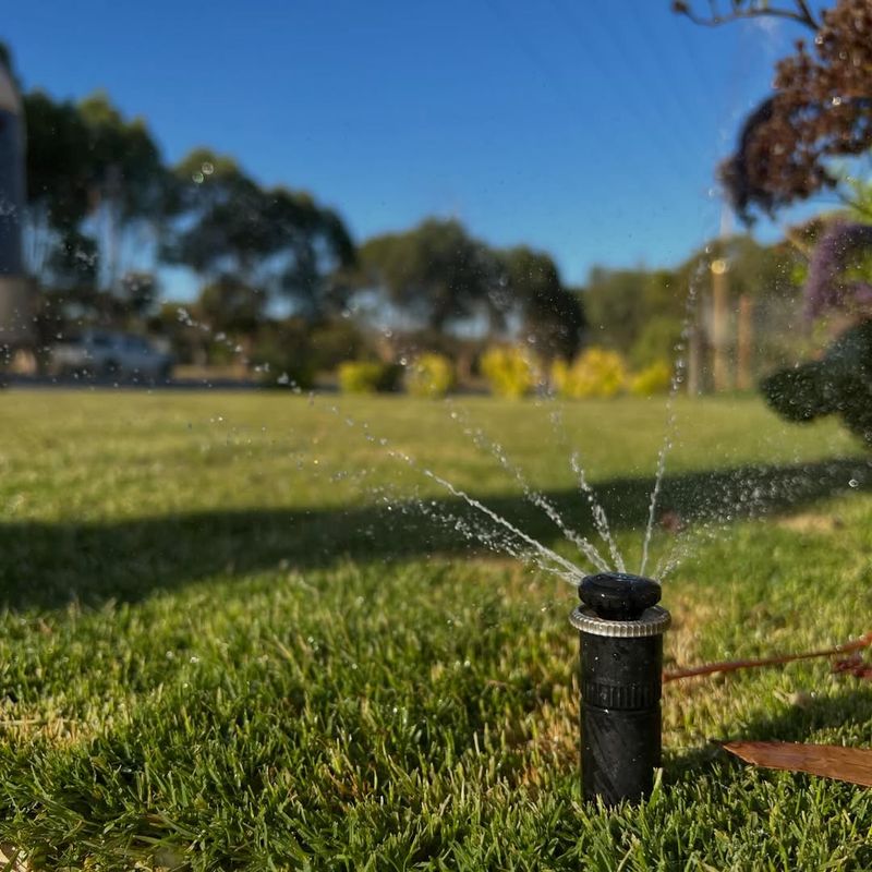 Water Lightly To Activate The Herbicide Barrier