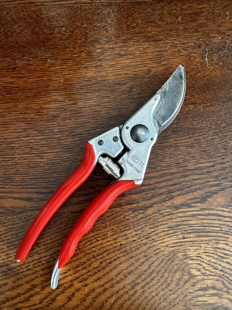 Use Sharp Clean Tools To Protect Plant Health