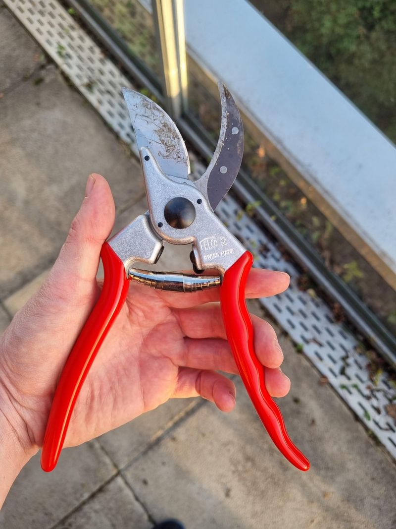 Use Clean Sharp Tools To Prevent Disease Spread