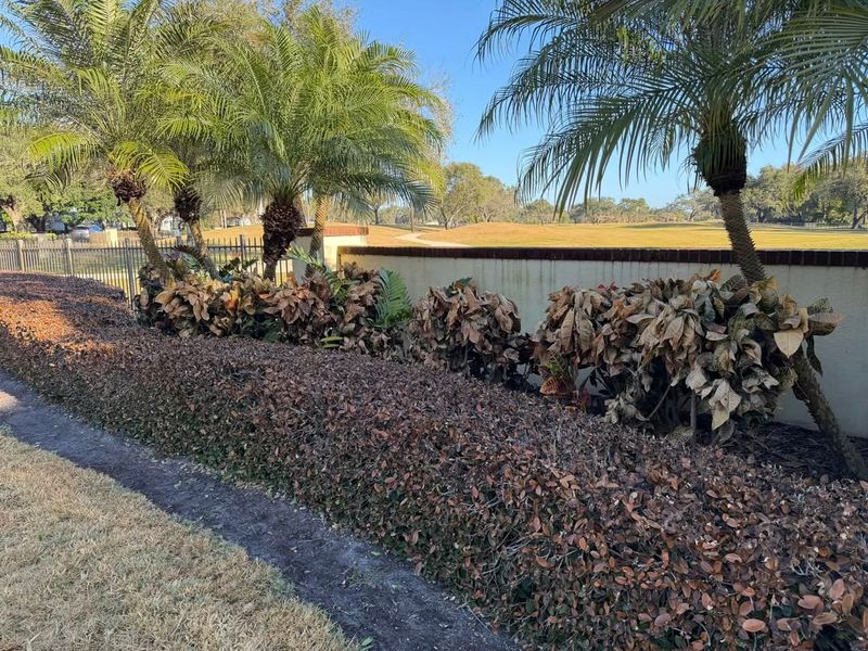 Don't Remove Protective Mulch Just Yet