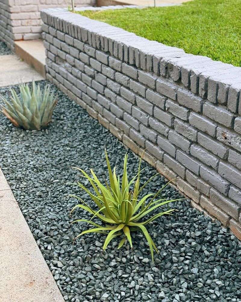 Give Enough Space For Airflow Around The Plant