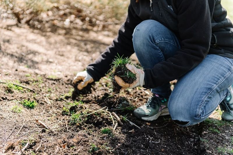 Soil Prep And Site Choice Matter More Than You Think