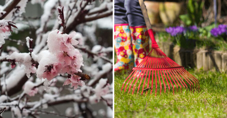 Freeze and cleaning out