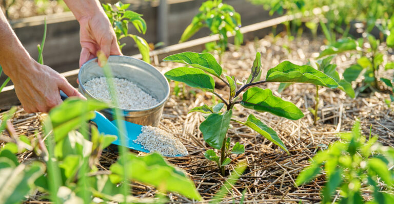 Avoid These Florida April Garden Mistakes That Can Set Plants Back All Season