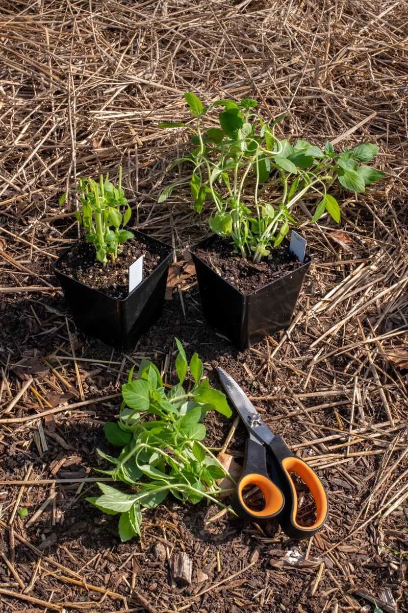 Common Mistakes And How To Prevent Them