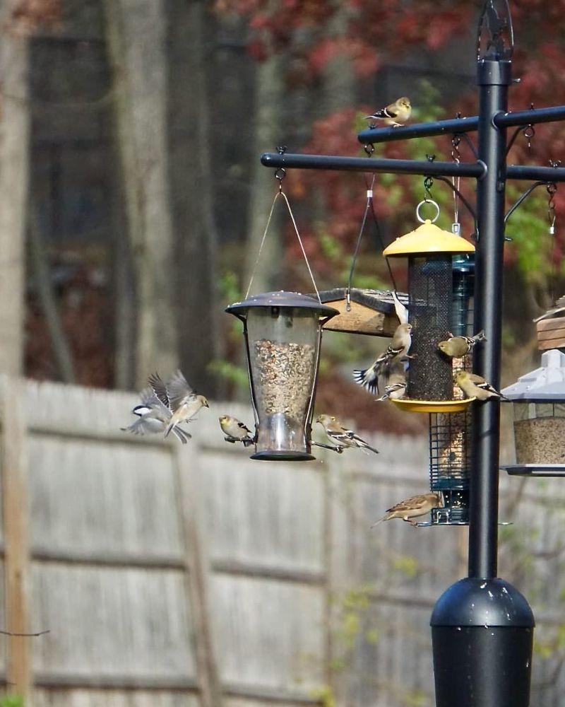 Go Vertical With Proper Pole Placement
