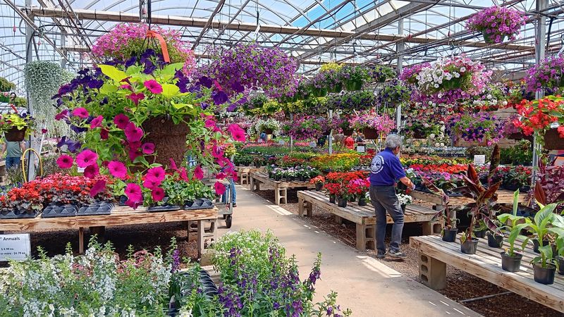 Richardson's Greenhouse Offers Scenic Mohican Treasures Worth The Drive