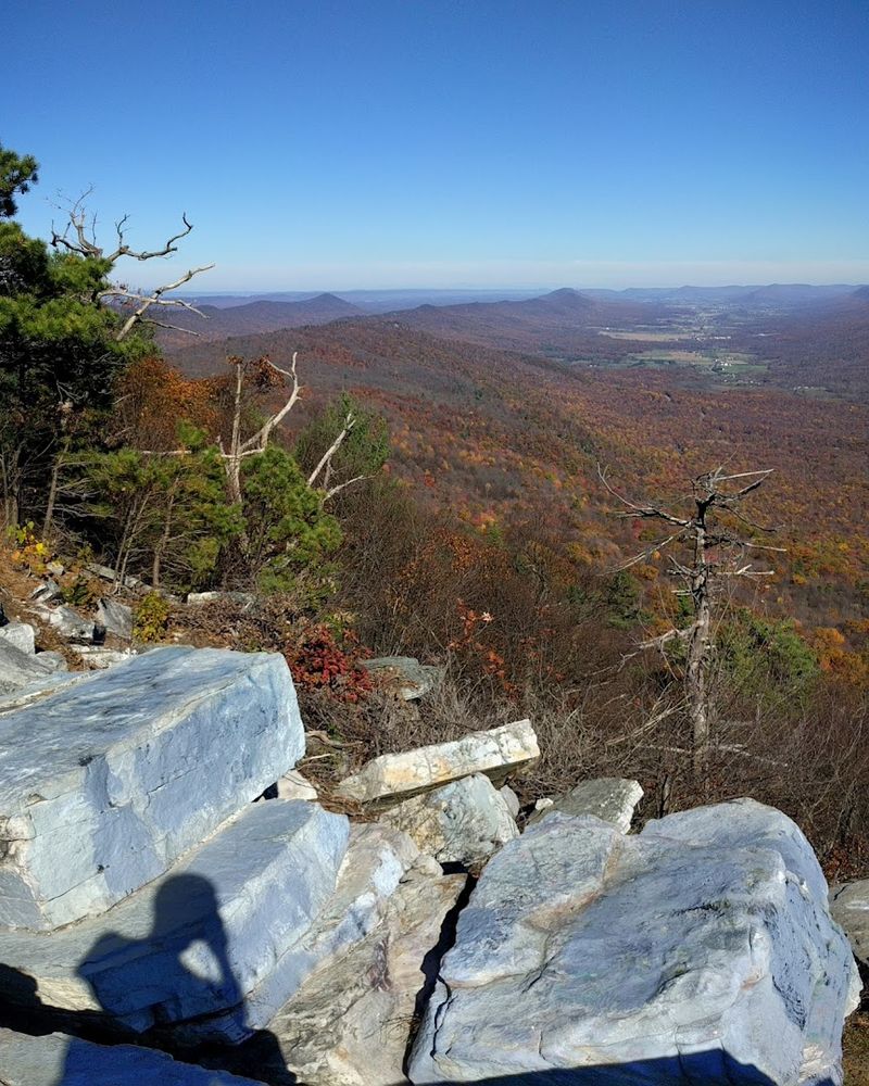 Buchanan State Forest