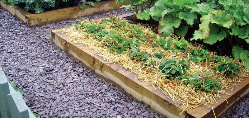 Microclimates In Your Garden Change Everything