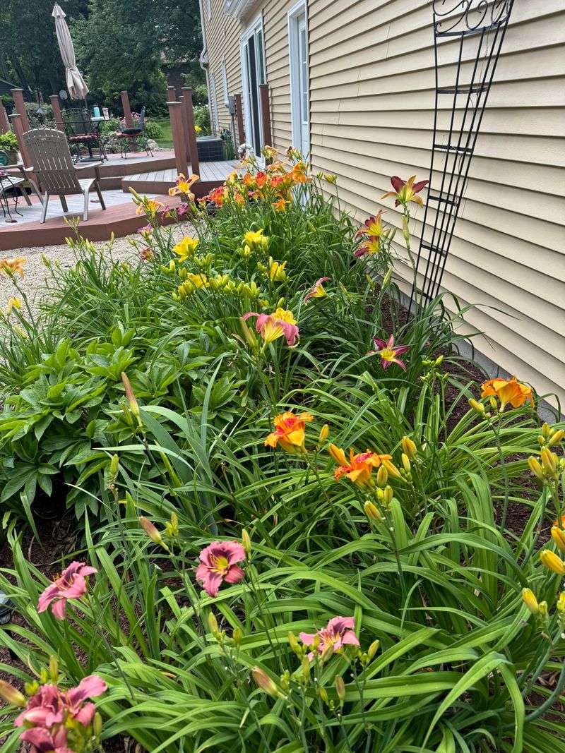 The Easy Way To Add Curb Appeal To Any Home