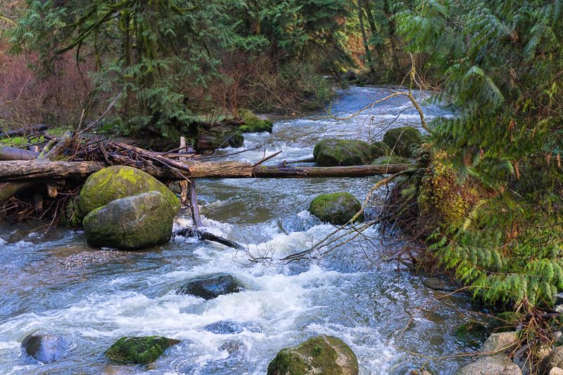 Streams And Rivers Trigger Special Permit Rules