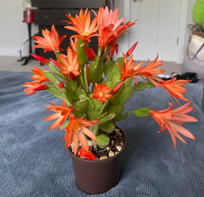 Choose A Cooler Indoor Spot During Texas Heat Waves