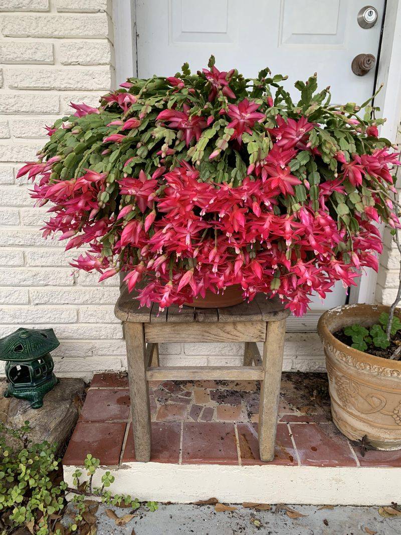 A Gentle Move Outdoors Can Wake It Up