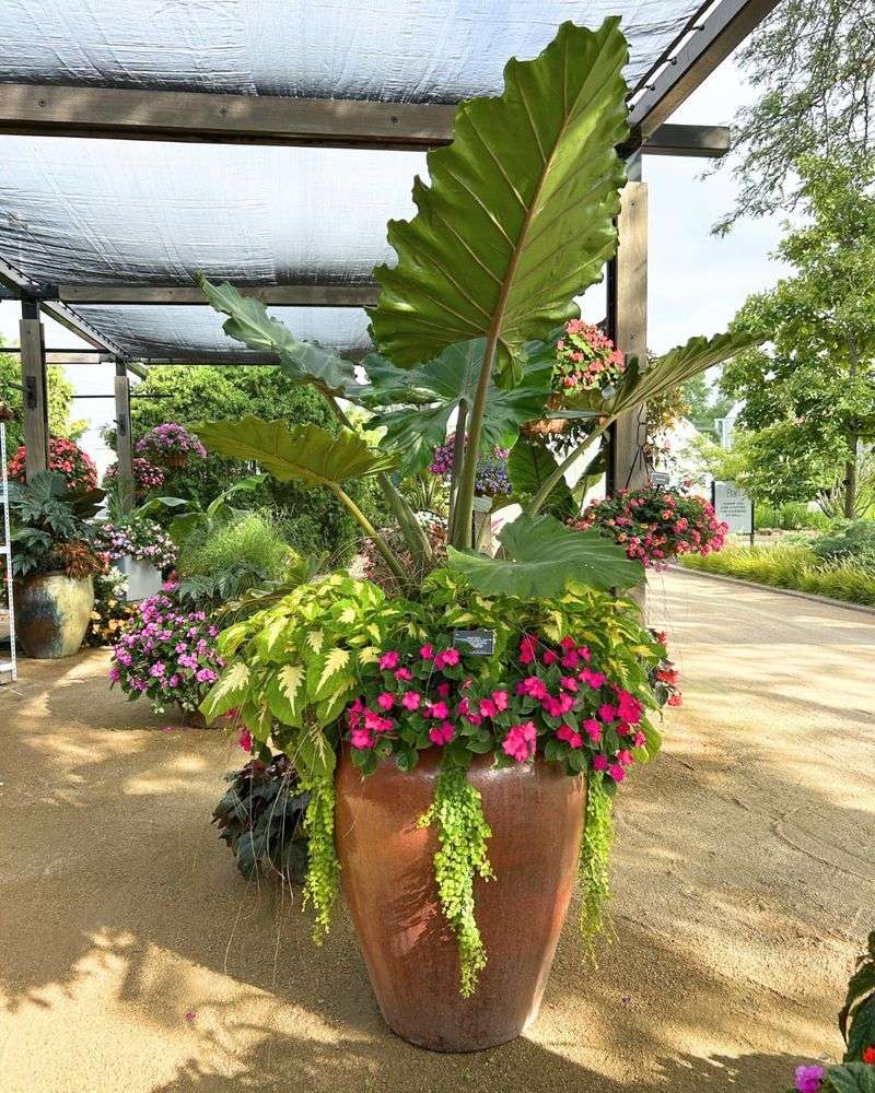 One Bold Container Big Tropical Impact