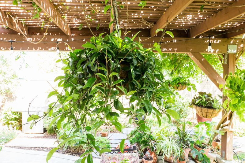 Increase Outdoor Time Little By Little Each Week