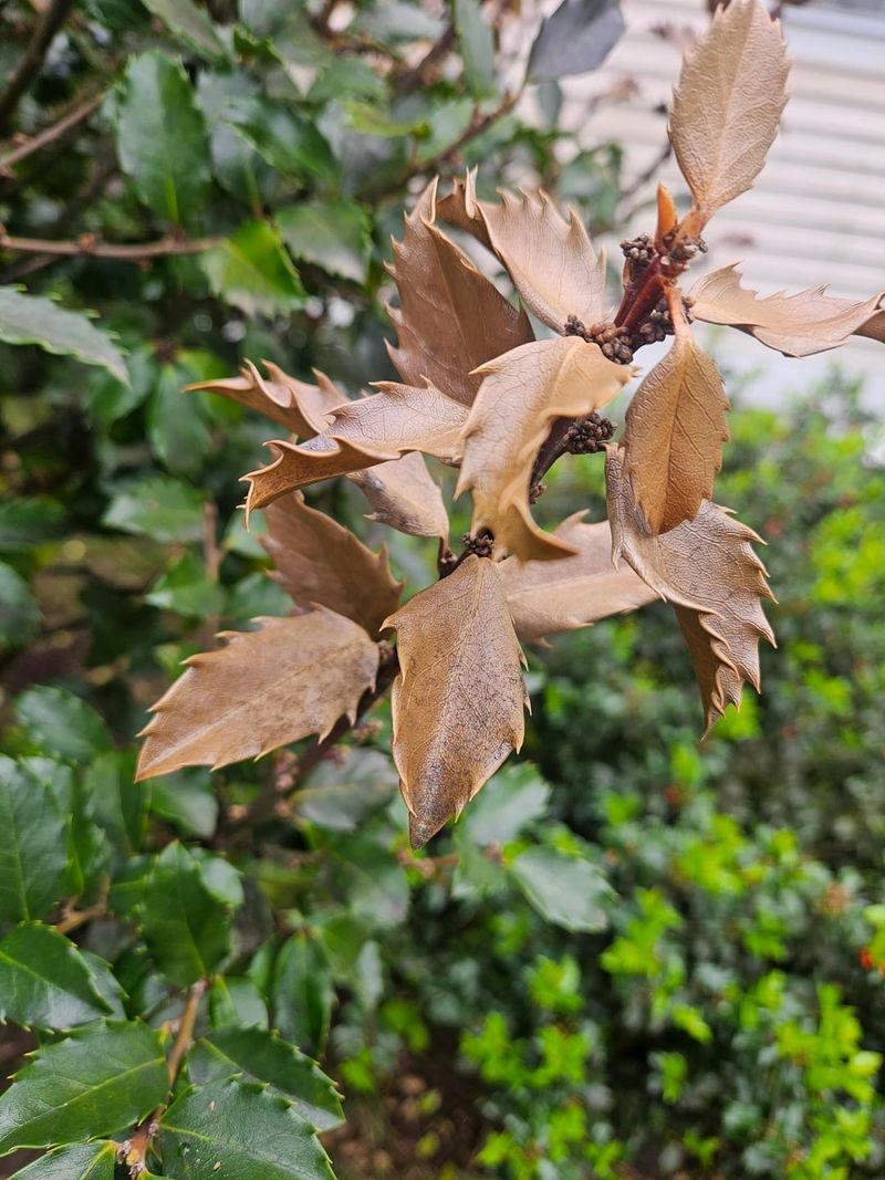 Clear Signs Of True Winter Damage You Shouldn't Ignore