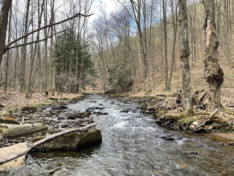 Moshannon State Forest