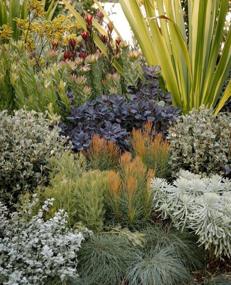 Fill The Middle With Dense, Bushy Growth