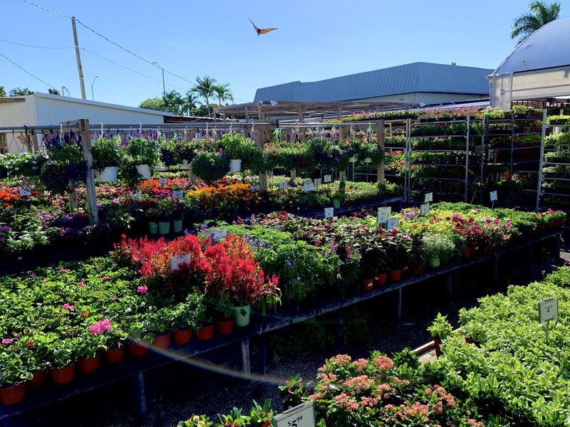 Ignore The Seasonal Displays At Big Box Stores