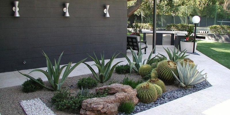 Cluster Heat-Tolerant Plants To Form A Lush Corner