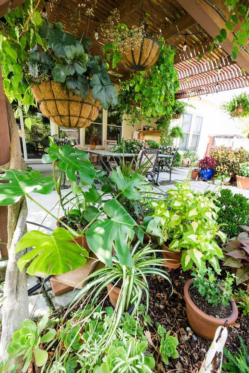 Create A Simple Potted Plant Lounge