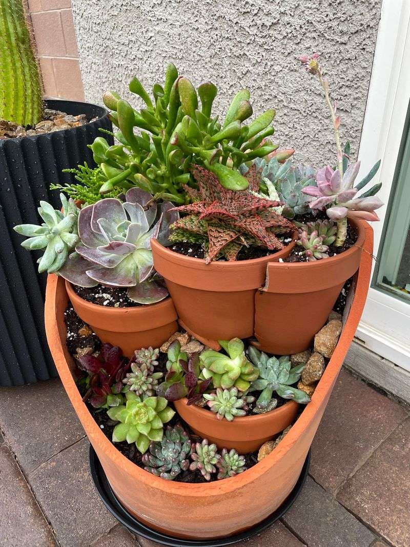 Make A Succulent Arrangement