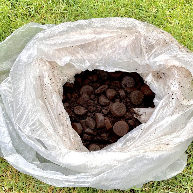 Coffee Ground Mulch