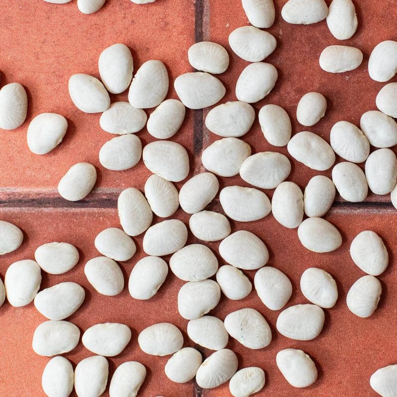 Lima Bean Seeds With Buttery Summer Harvest