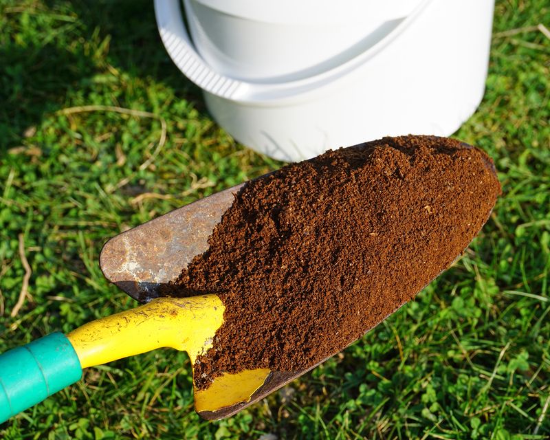 Brew Success For A Thriving Michigan Garden