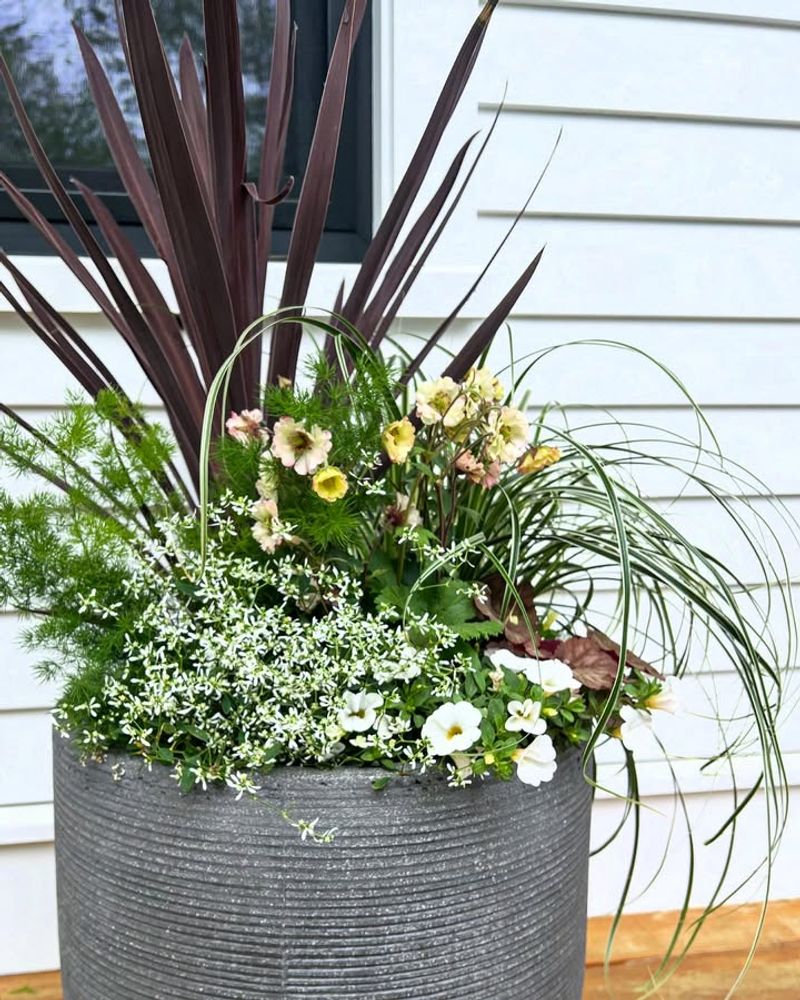 Coastal Color Pop Container