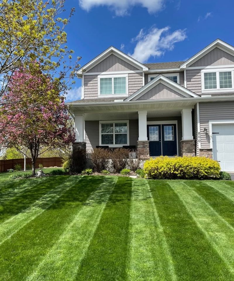 Lawn Grass (Especially Kentucky Bluegrass)