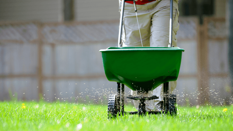 Florida Lawns Need Careful Spring Fertilizing Timing